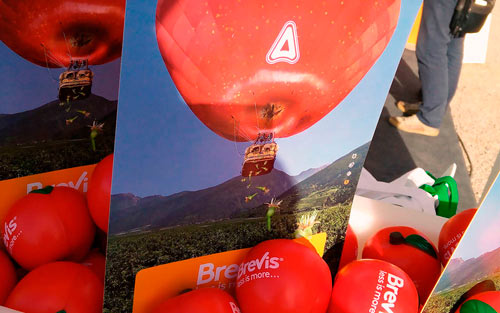 Cartelería para el Stand de Adama en Mollerusa