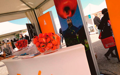 Elementos decorativos del Stand