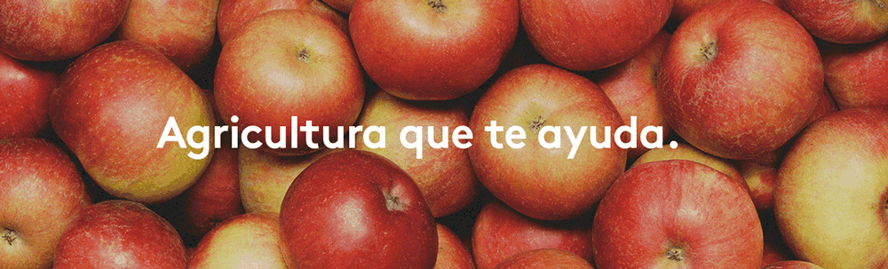 Diferentes copys para la marca