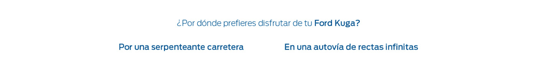 Segundo selector del formulario