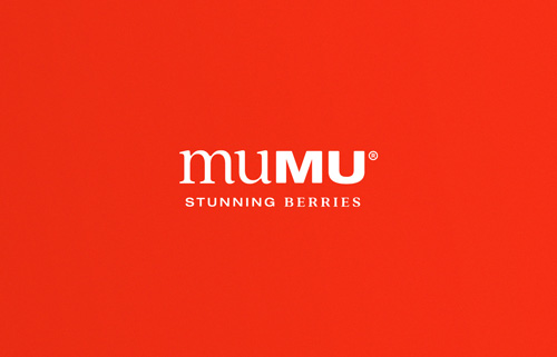 Portada proyecto Mumu por Microbio