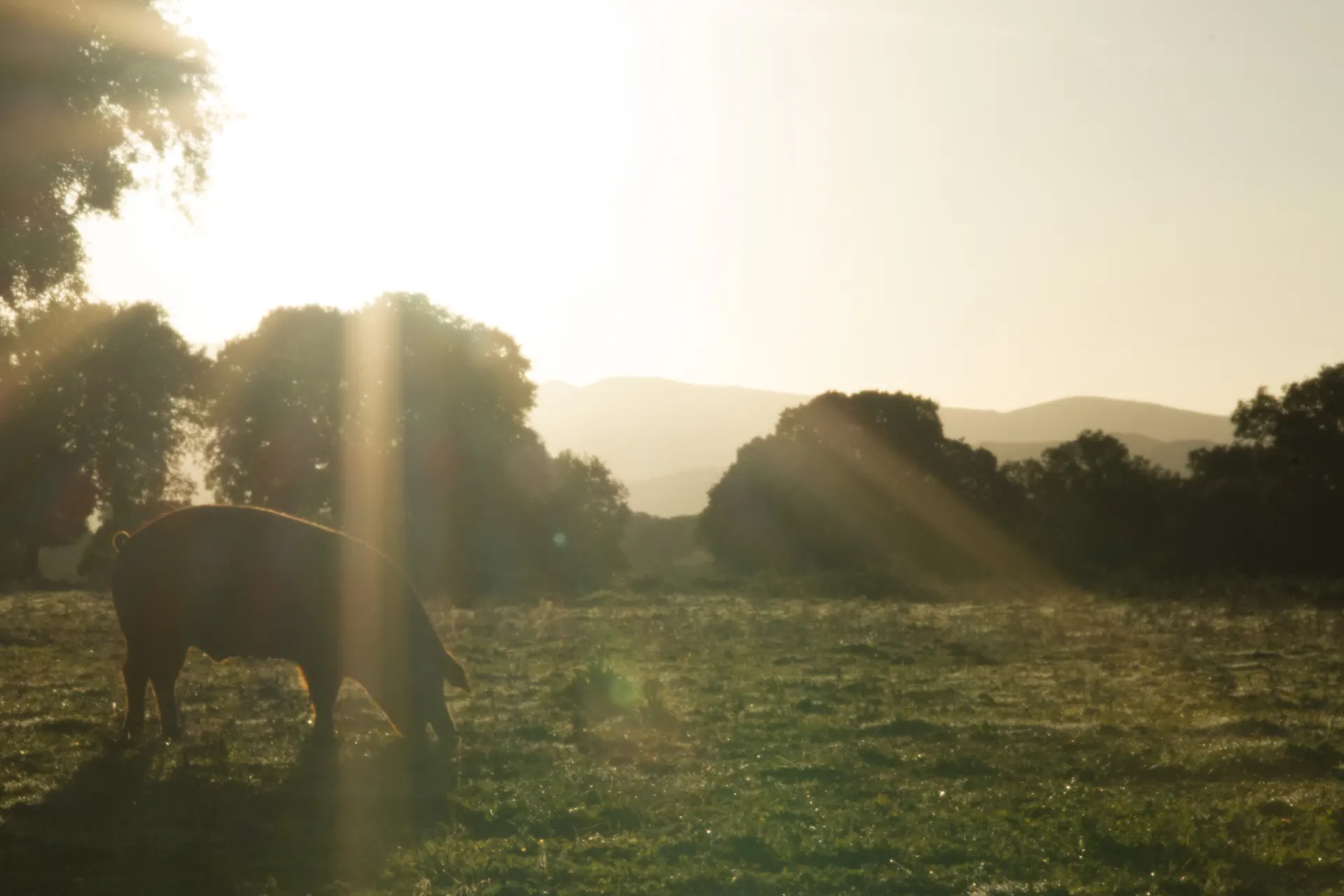 Amanecer durante la grabación del spot