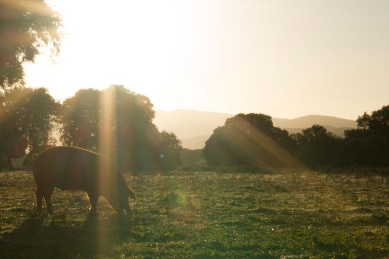 Amanecer durante la grabación del spot