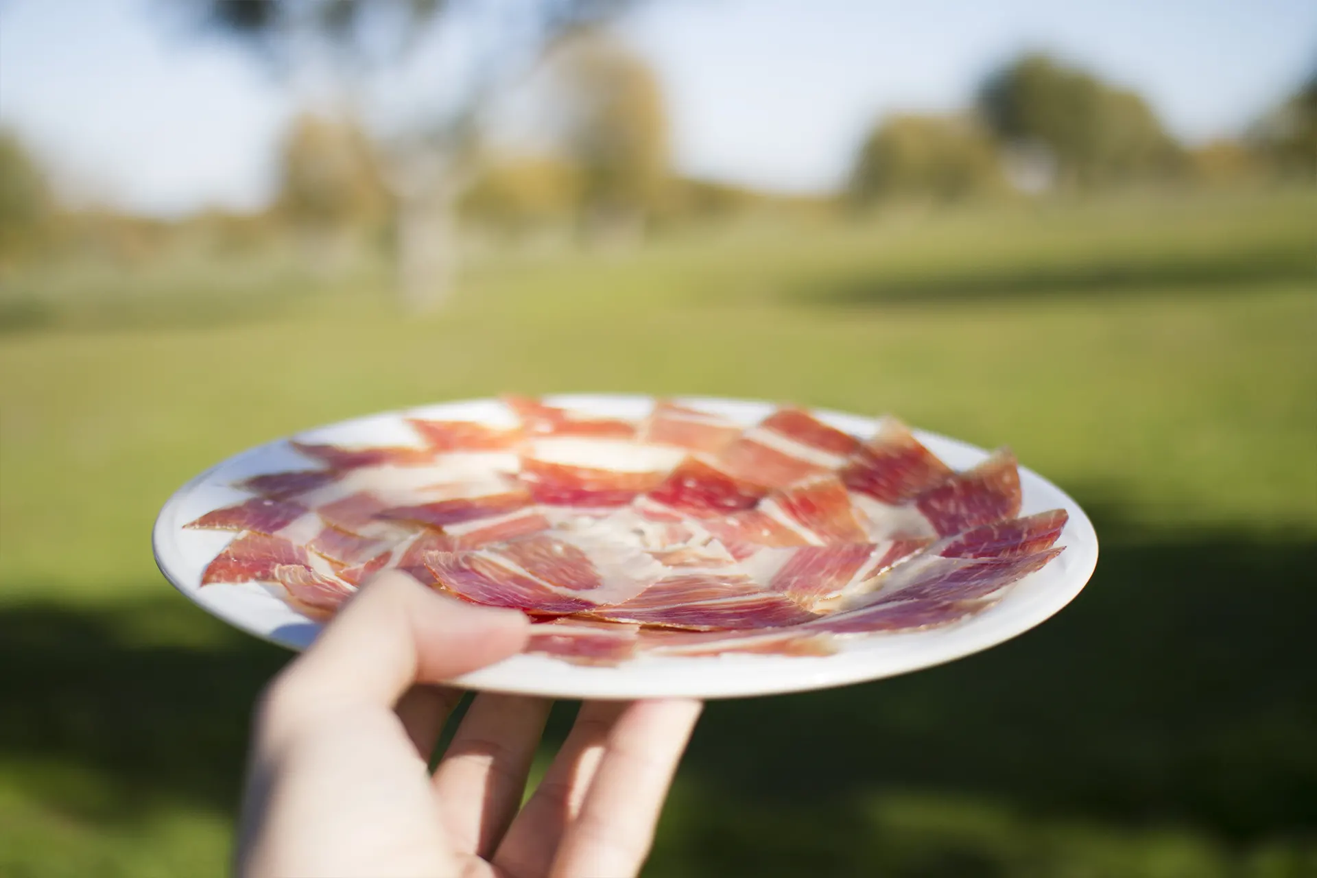 Plato de jamón ibérico de bellota Guijuelo