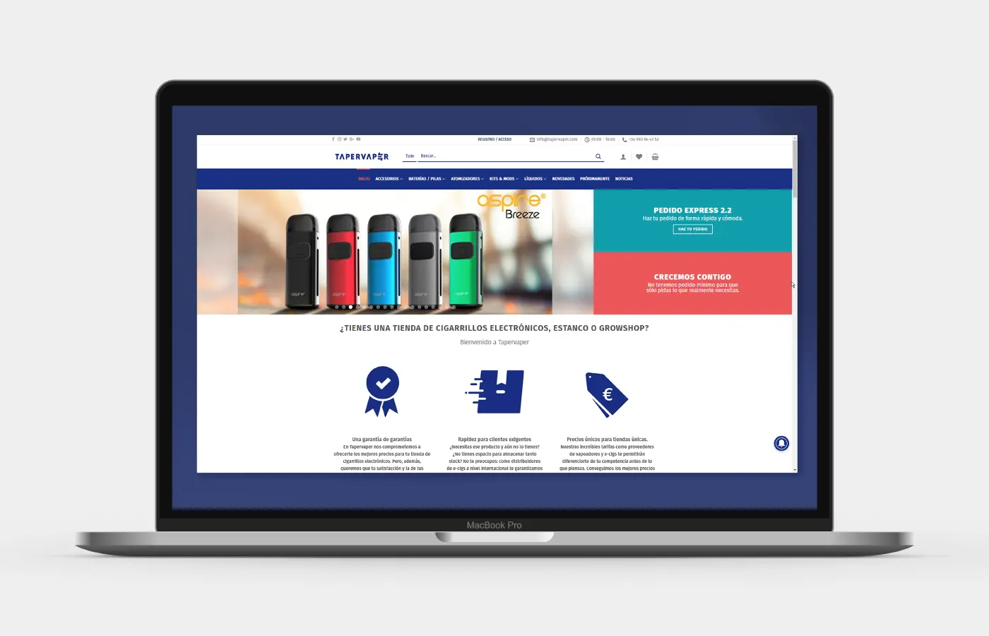 Propuesta de página web elaborada para el cliente