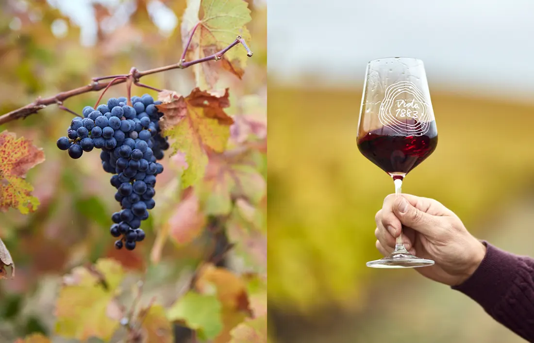 Detalle de la etiqueta elaborada para el vino Tardón de bodegas Ernesto del Palacio